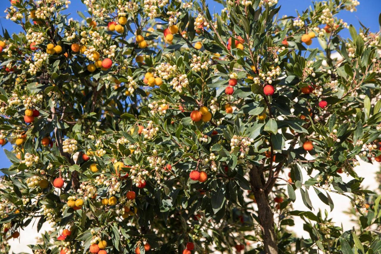 Masseria Lilei Lizzanello Dış mekan fotoğraf