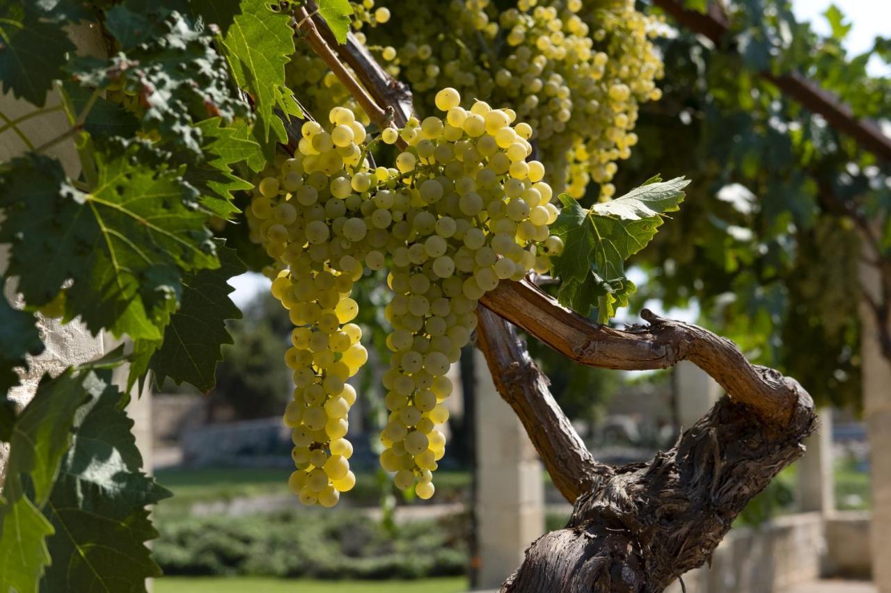 Masseria Lilei Lizzanello Dış mekan fotoğraf