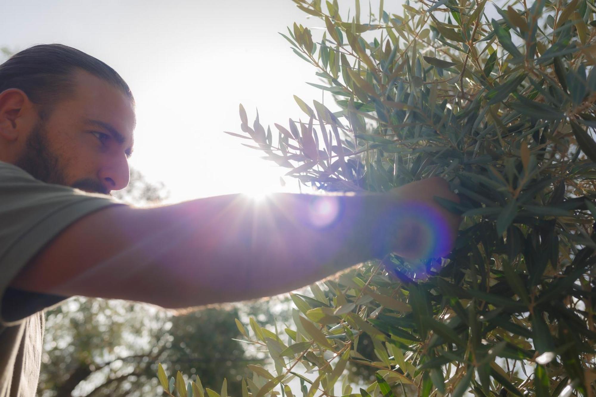 Masseria Lilei Lizzanello Dış mekan fotoğraf